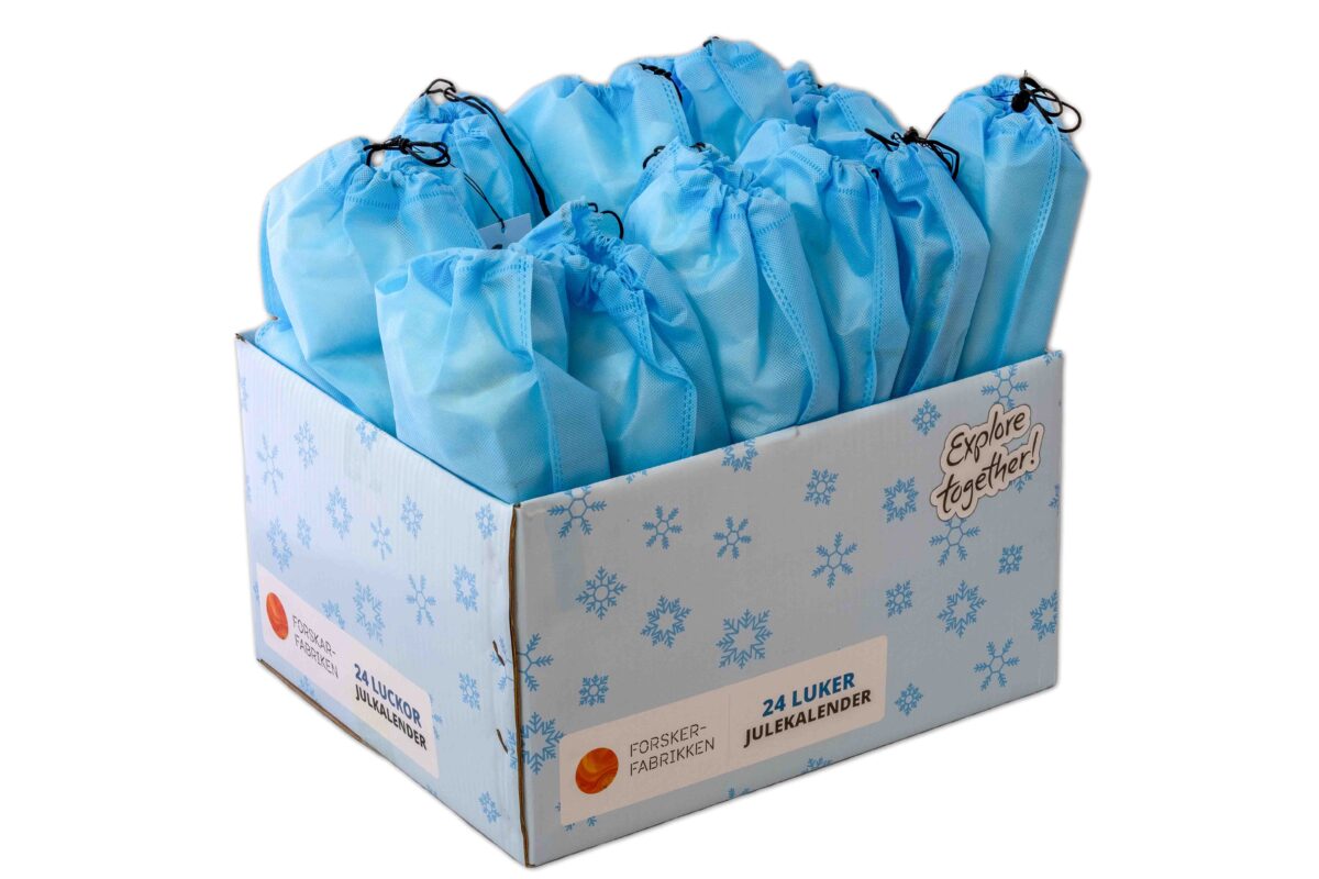 Forskerfabrikkens julekalender for barn